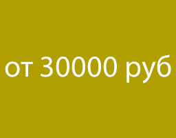Интернет магазин от 20000 руб